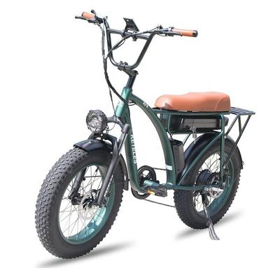 23AH χωρητικότητα μπαταρίας 1000W 2000W κινητήρα 20 ιντσών Fat Bike Ηλεκτρικό ποδήλατο Custom Support