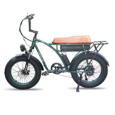 23AH χωρητικότητα μπαταρίας 1000W 2000W κινητήρα 20 ιντσών Fat Bike Ηλεκτρικό ποδήλατο Custom Support