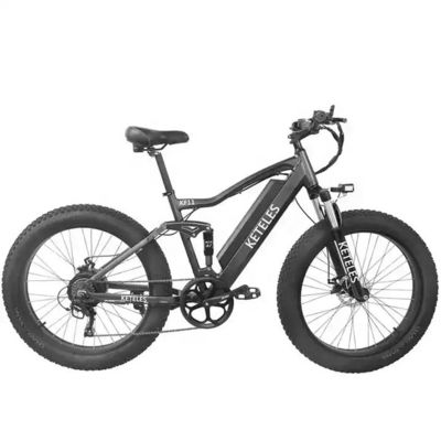 48V 250W Motor Electric Mountain Bike με μπαταρία λιθίου 10AH και ενσωματωμένη μπαταρία