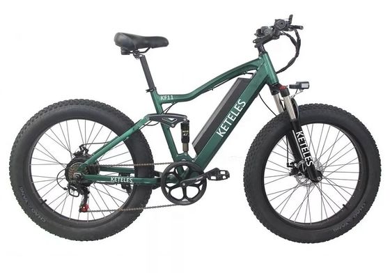 48V 250W Motor Electric Mountain Bike με μπαταρία λιθίου 10AH και ενσωματωμένη μπαταρία