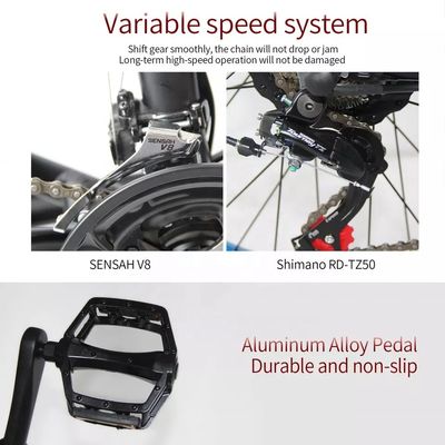 48V 250W Motor Electric Mountain Bike με μπαταρία λιθίου 10AH και ενσωματωμένη μπαταρία